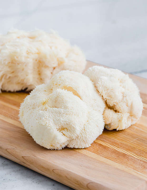 lions mane mushroom